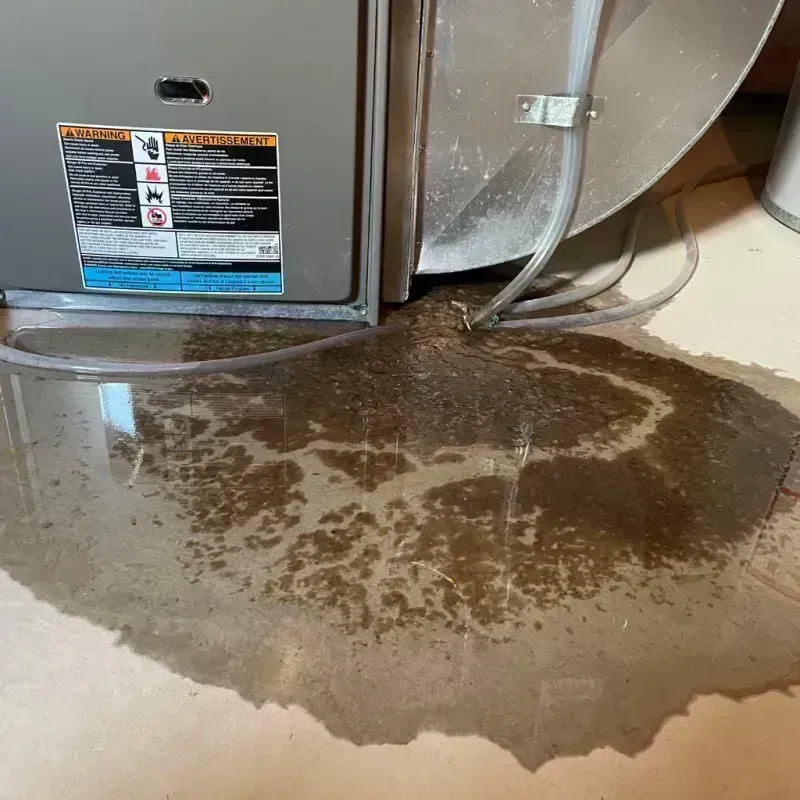 Appliance Leak Cleanup in Greenfield, IL